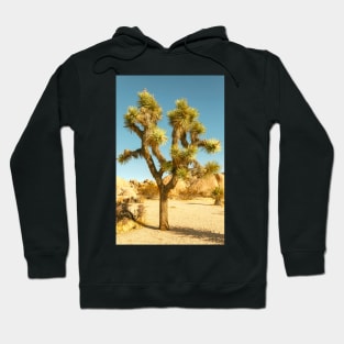 Joshua Tree Hoodie